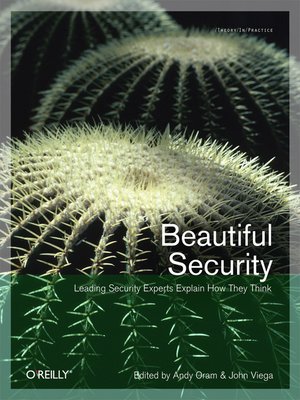cover image of Beautiful Security